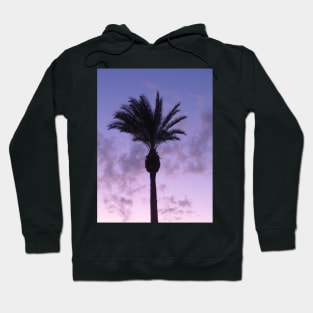 Tropical Palm Tree with beautiful sunset in violet, blue and pink Hoodie